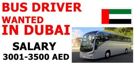BUS DRIVER WANTED IN DUBAI
