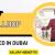 Bellhop Required in Dubai