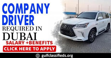 COMPANY DRIVER REQUIRED IN DUBAI
