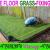 Artificial Grass Fixing In Dubai -Ajman -Sharjah