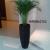OFFICE INDOOR PLANTS AND POTS - 0558889394