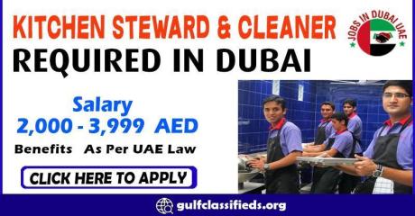 KITCHEN STEWARD & CLEANER REQUIRED IN DUBAI