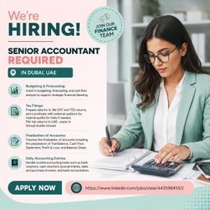 Senior Accountant Required in Dubai