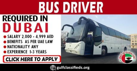 BUS DRIVER REQUIRED IN DUBAI