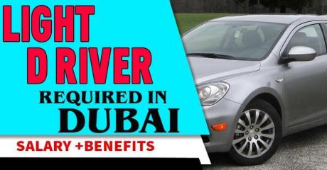 Light Driver Required in Dubai