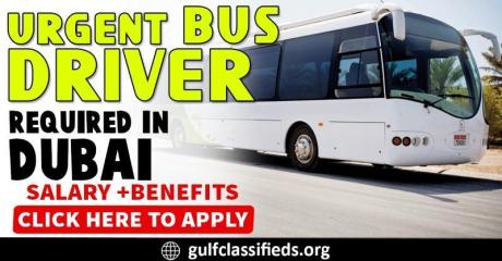 URGENT BUS REQUIRED IN DUBAI