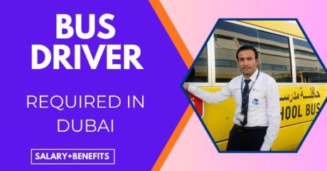Bus Driver Required in Dubai