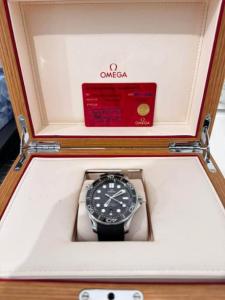 Omega Seamaster Professional Diver 2022 for Sale