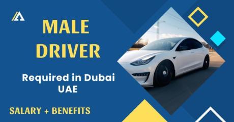 Male Driver Required in Dubai
