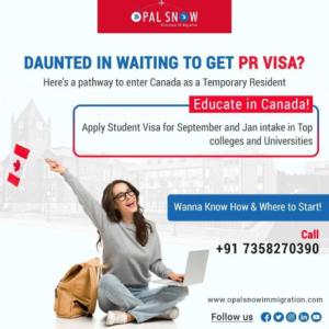 New Zealand Immigration Company in Chennai