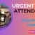 Urgent Bus Attendant Required in Dubai