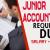 Junior Accountant Required in Dubai