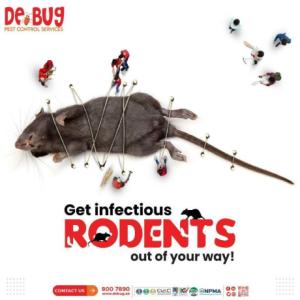 rat control dubai