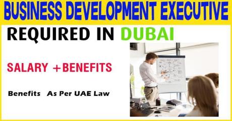 Business Development Executive Required in Dubai