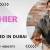 Cashier Required in Dubai