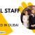 Hotel Staff Required in Dubai