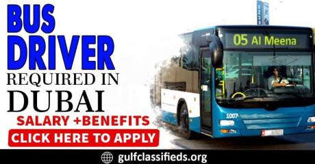 BUS DRIVER REQUIRED IN DUBAI