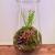 Mini Forest Terrarium – Handmade Glass Garden