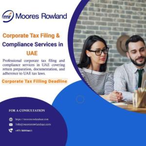 ⏰ Corporate Tax Filing Deadline Reminder - File Corporate Tax today to Avoid Penalties