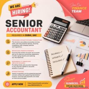 Senior Accountant Required in Dubai