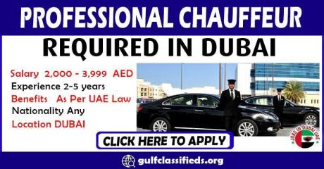 PROFESSIONAL CHAUFFEUR REQUIRED IN DUBAI
