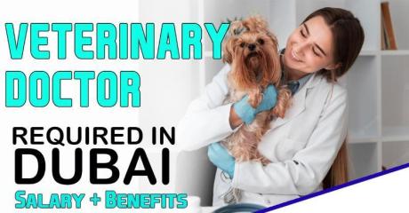 Veterinary Doctor Required in Dubai
