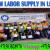 Labor Supply Company in Ajman Dubai Sharjah Abudhabi