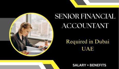 Senior Financial Accountant Required in Dubai