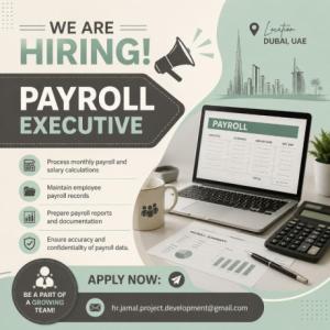 Payroll Executive Required in Dubai