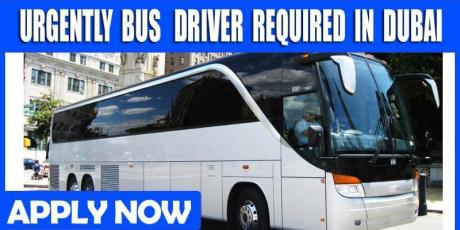 URGENTLY BUS DRIVER REQUIRED IN DUBAI(UAE)
