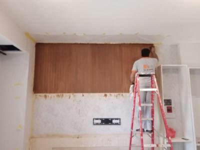 Carpenter Work and Gypsum Board celing work