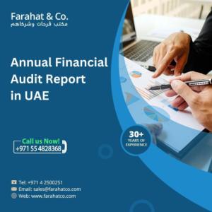 Annual Financial Audit Report