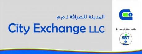 CITY EXCHANGE LLC