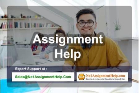 Assignment Help - Get services for University Students by No1Assignmenthelp.com