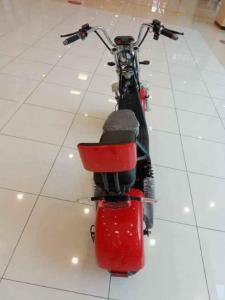 Electric big Coco harley