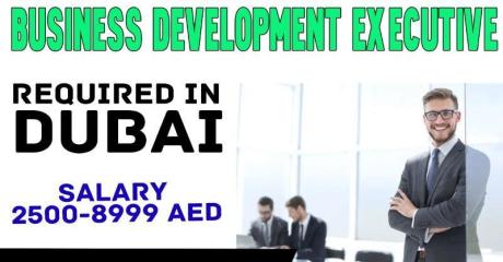 Business Development Executive Required in Dubai
