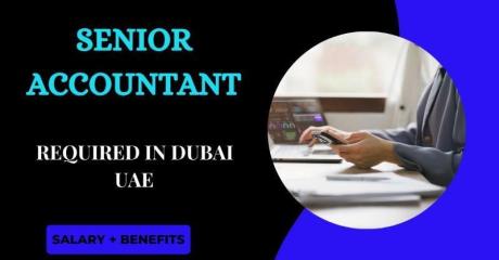 Senior Accountant Required in Dubai