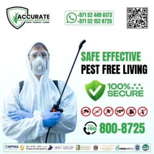 Safe & Effective Pest Control Services in Dubai, Sharjah & Ajman