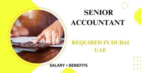 Senior Accountant Required in Dubai