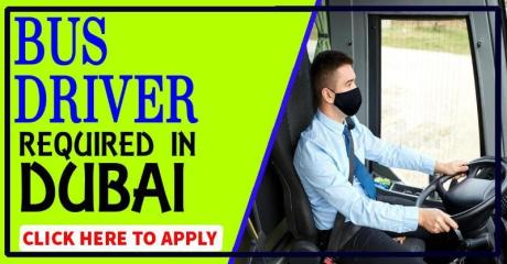 Bus Driver Required in Dubai