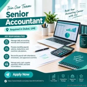 Senior Accountant Required in Dubai