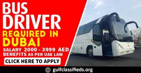 BUS DRIVER REQUIRED IN DUBAI