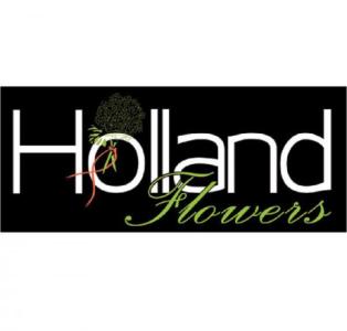 HOLLAND FLOWERS