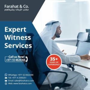 Accounting Expert Witness Report | Expert Witnesses services