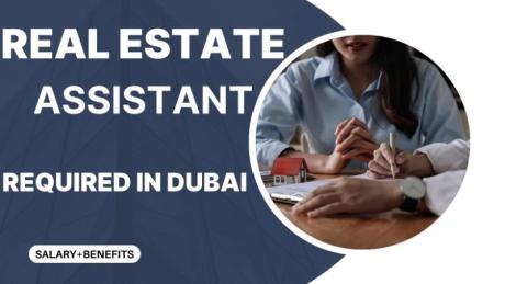 Real Estate Assistant Required in Dubai