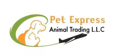 Pet Express Animal LLC