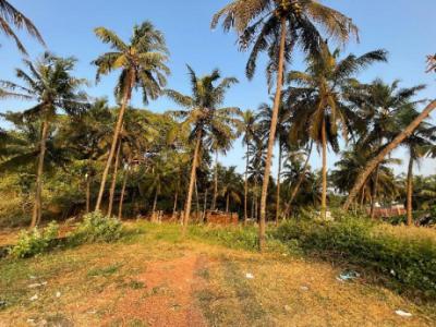 Beach front property in Payyambalam Kannur