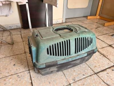 Pet carrier for cat or small animal