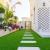 GARDEN PLANTS AND LANDSCAPING COMPANY DUBAI