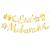 party supplies online in UAE